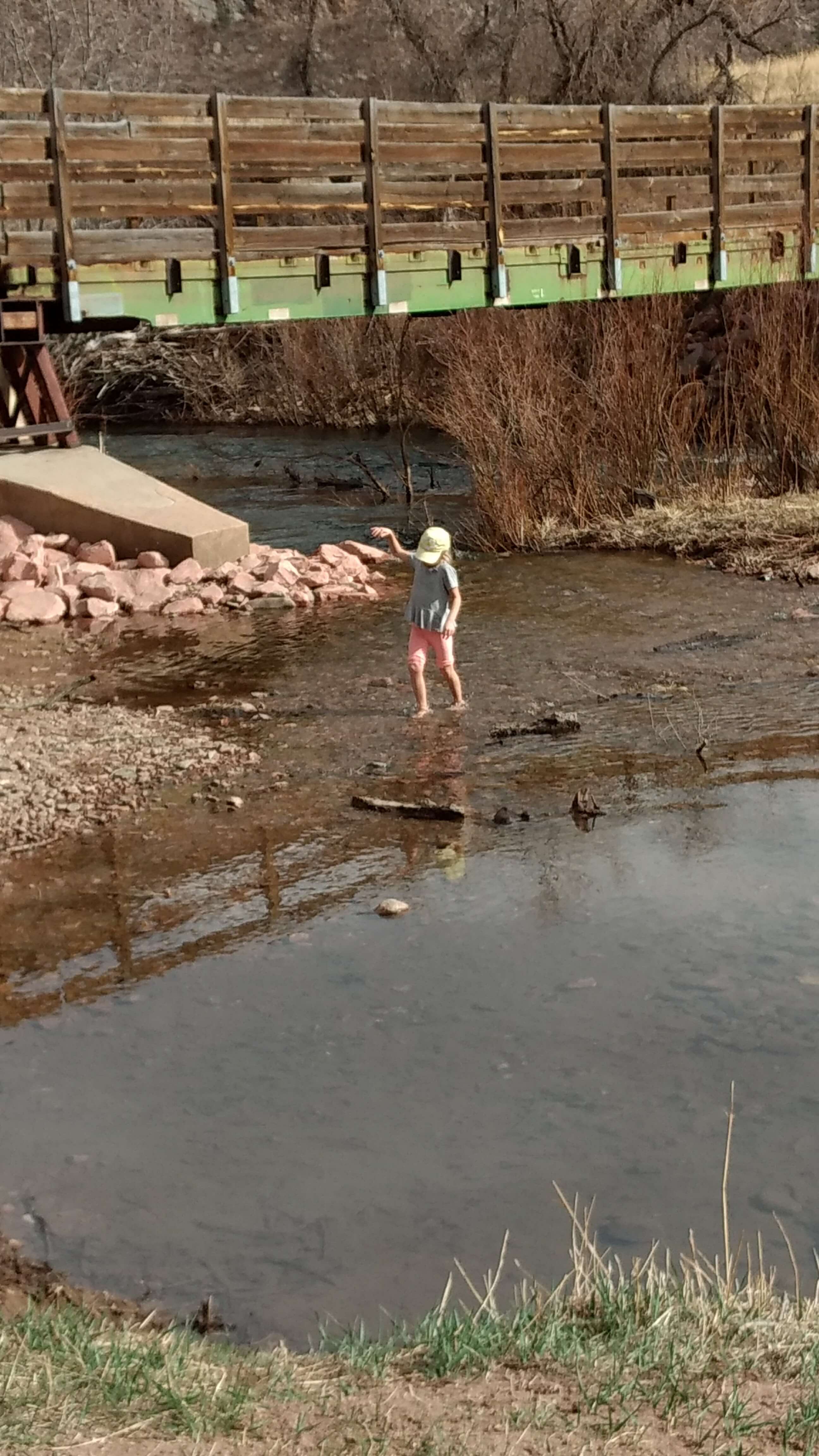 Scenic bridge in Wisconsin forest near national forest